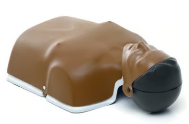 Laerdal Little Anne - Image 6